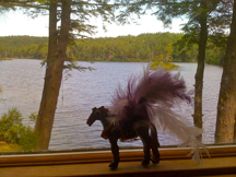 Sparkle Pony in Western Massachusetts.
